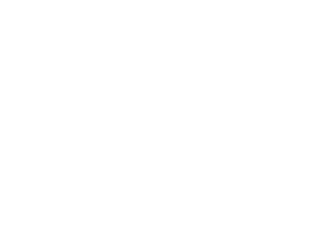 Boutique trazo blanco